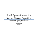navier stokes.pdf
